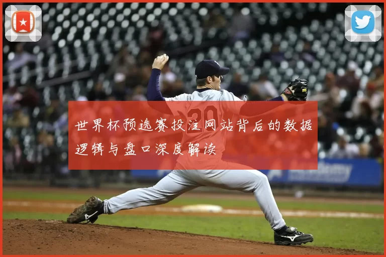 世界杯预选赛投注网站背后的数据逻辑与盘口深度解读