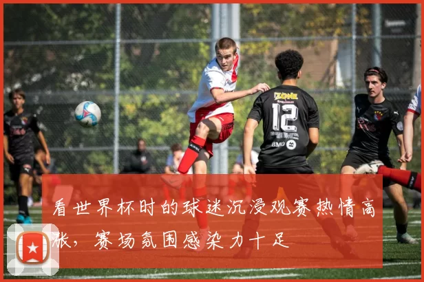 看世界杯时的球迷沉浸观赛热情高涨,赛场氛围感染力十足
