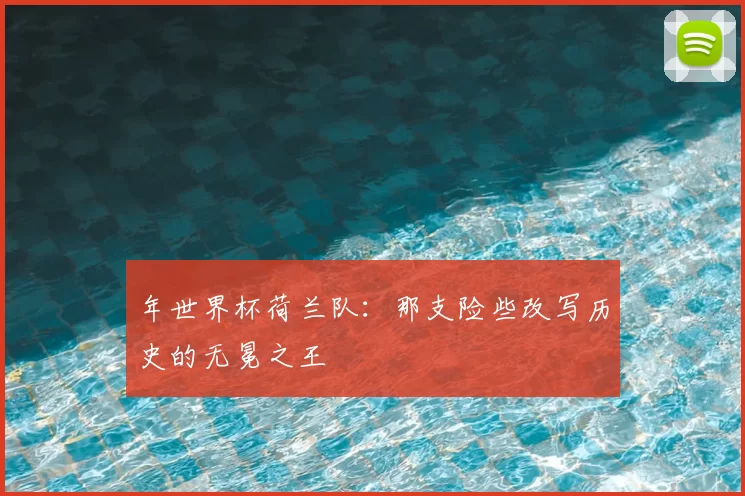 年世界杯荷兰队:那支险些改写历史的无冕之王