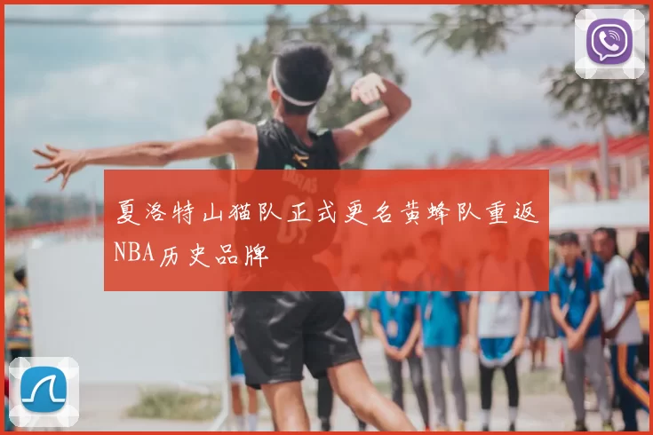 夏洛特山猫队正式更名黄蜂队重返NBA历史品牌
