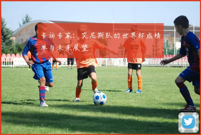 专访专家:突尼斯队的世界杯成绩单与未来展望