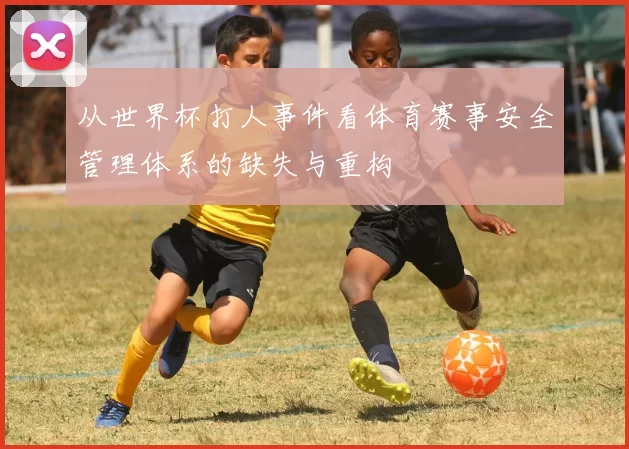 从世界杯打人事件看体育赛事安全管理体系的缺失与重构