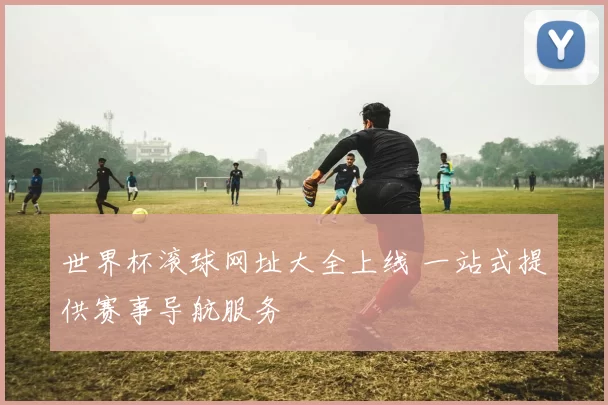 世界杯滚球网址大全上线 一站式提供赛事导航服务