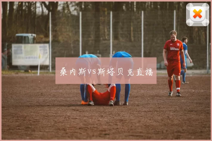 桑内斯vs斯塔贝克直播