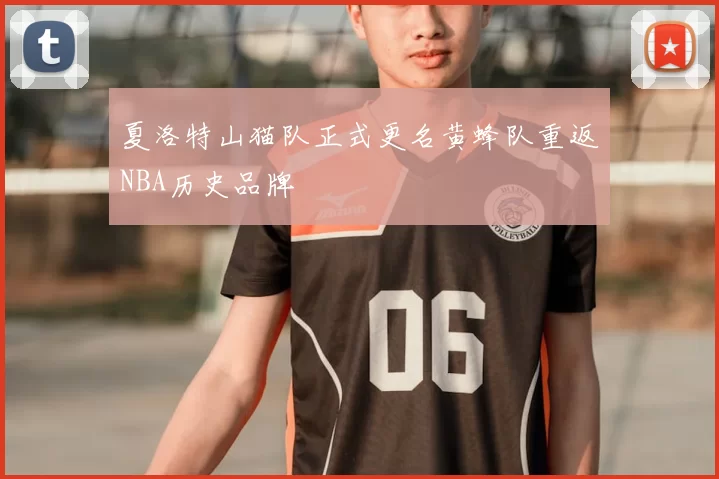 夏洛特山猫队正式更名黄蜂队重返NBA历史品牌